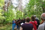 Promenons nous dans les bois 35 * 5184 x 3456 * (12.5MB)